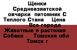 Щенки Среднеазиатской овчарки (питомник С Теплого Стана) › Цена ­ 20 000 - Все города Животные и растения » Собаки   . Томская обл.,Томск г.